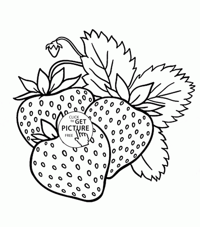 Yummy Strawberries Fruit coloring page for kids, fruits coloring ...