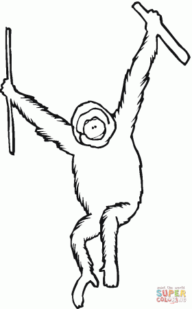 Orangutan Ape coloring page | Free Printable Coloring Pages