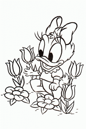 Daisy Duck coloring pages overview with cool Daisy sheets