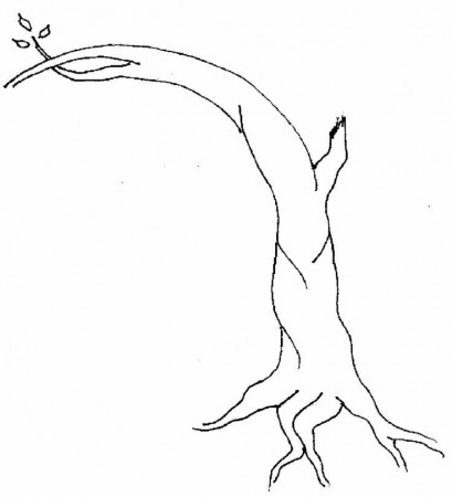 Apple Tree Without Leaves Coloring Page | Tree