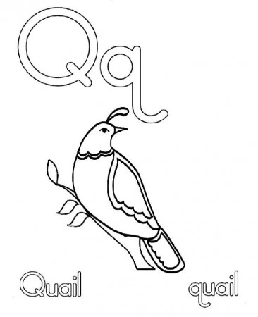 Q For Quail Coloring Pages | Preschool | Pinterest | Quails ...
