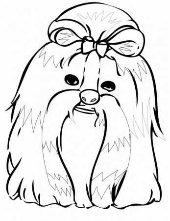 Shih Tzu Coloring Page Handipoints Cats And Dogs Coloring Pages 
