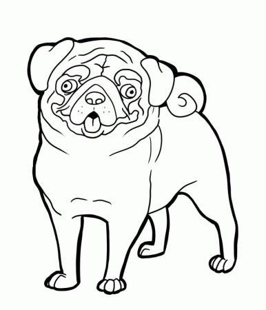 Pug Coloring Pages | 99coloring.com
