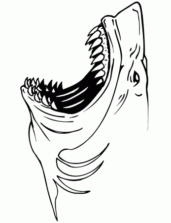 Basking Shark Coloring Page - Animals Town - Animals Color Sheet