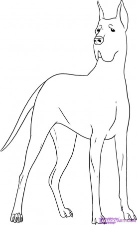 Draw a Great Dane, Step by Step, Drawing Sheets, Added by Dawn ...