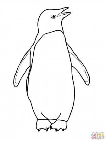 Adelie Penguin coloring page | Free Printable Coloring Pages