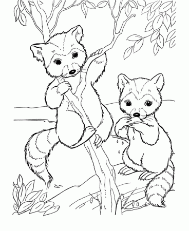 Baby Wild Animals Coloring Page