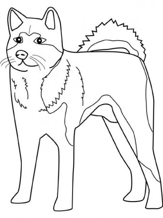 Coloring sheets, Husky and Coloring