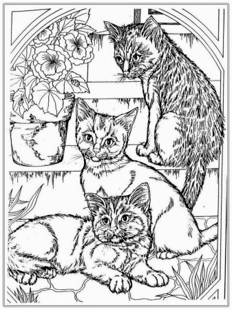 Dog And Cat Coloring Pages Coloring Pages Dogs And Cats Best Dog Cat  Gambarmewarnai To Print Of - birijus.com