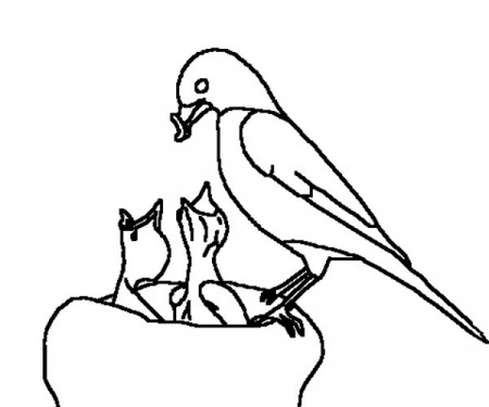 Robin Feeding Her Babies Coloring Page - Download & Print Online Coloring  Pages for Free | Color Nimbus