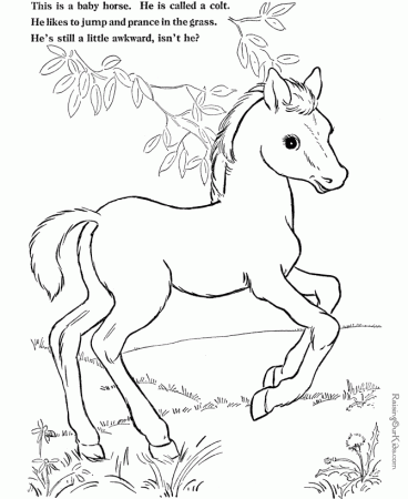 Farm Animal Coloring Pages!