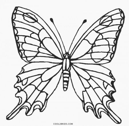 Printable Butterfly Coloring Pages For Kids | Cool2bKids