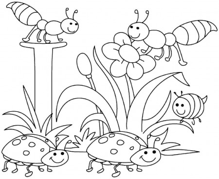 Spring Coloring Sheets For Toddlers - High Quality Coloring Pages