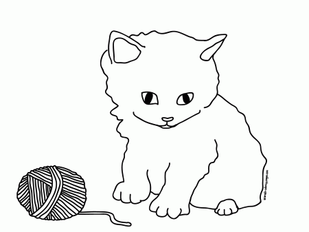 Cat Coloring Pages (17 Pictures) - Colorine.net | 4844