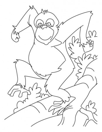 Dancing chimpanzee coloring pages | Download Free Dancing ...