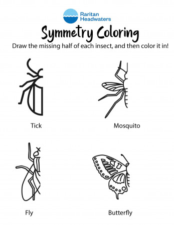 Insect Symmetry Coloring Page - Raritan Headwaters