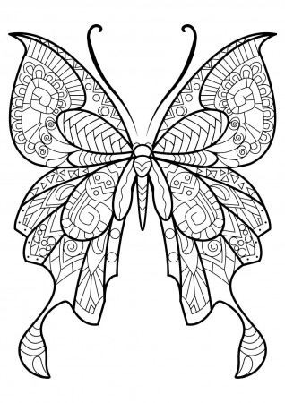 Best Coloring : Butterfly Coloring Best Printable Flowers ...
