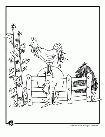 Farm Coloring Pages: Animals in the Barnyard | Animal Jr.