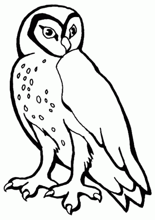 Hoot the owl Colouring Pages