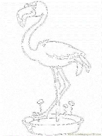 Coloring Pages Mexican Coloring Flamingo (Countries > Mexico 