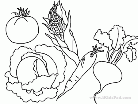 Free Printable Fruits And Food Coloring Book For Kids Garden And 