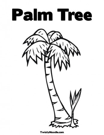 Coloring Pages Palm Trees