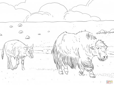 Yak Mother with Calf coloring page | Free Printable Coloring Pages
