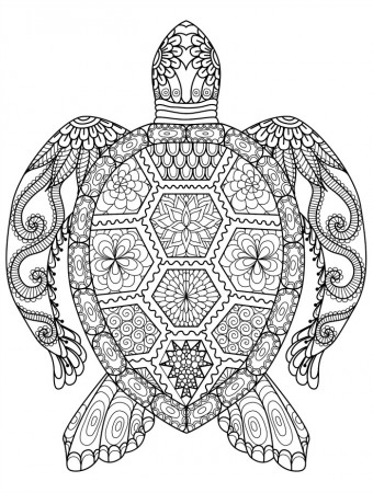 Detailed Turtle Coloring Page For Adults