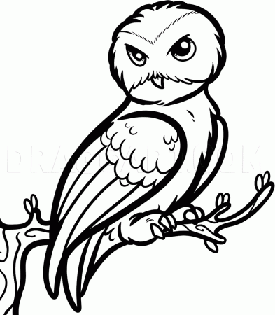 How To Draw Hedwig, Harry Potter, Step by Step, Drawing Guide, by Dawn |  dragoart.com