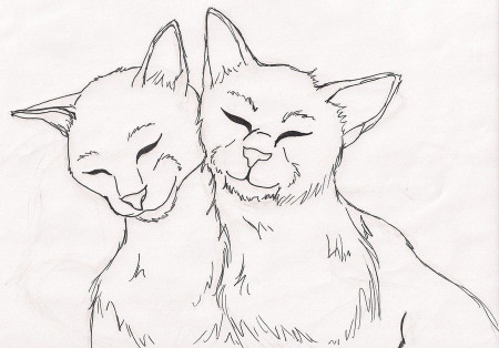 Bloodclan Warrior Cats Coloring Pages - Coloring Pages For All Ages