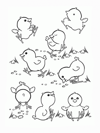 Chicks Coloring Pages - Ð¡oloring Pages For All Ages