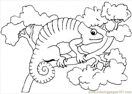 Chrysanthemum By Kevin Henkes Printables | The mixed up chameleon ...