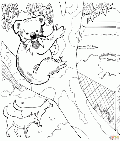 Koala and Dingos coloring page | Free Printable Coloring Pages