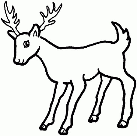 Deer Coloring Pages for Kids | Color Page