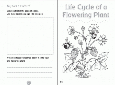 Rehearsal Life Cycle Butterfly Printable Coloring Pages Coloring ...