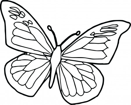 25 Most Magic Butterfly Coloring Pages Cartoon Caterpillar Free ...