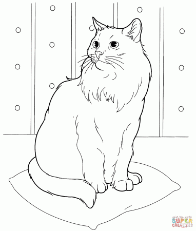 Persian Cat coloring page | Free Printable Coloring Pages