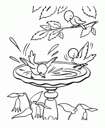 Spring Coloring Pages - Kids Spring Birds in the Birdbath Coloring ...