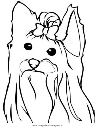 yoshir terrier Colouring Pages