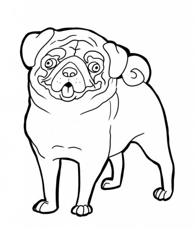 pug coloring pages | Puppy coloring pages, Animal coloring pages, Dog coloring  book
