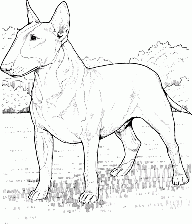 Free Coloring Pages Of Lab And Pitbull Dog Dog Breed Coloring ...