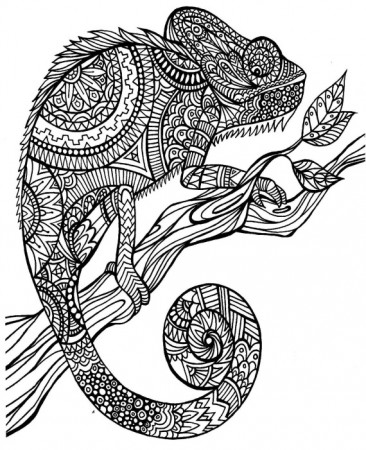A Color of His Own & The Mixed Up Chameleon: Lesson Plan Ideas ...