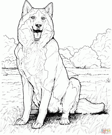 Alaskan Malamute coloring page | Free Printable Coloring Pages