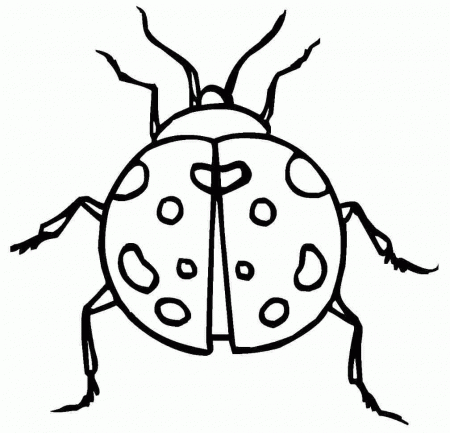 Ladybug Coloring Pages for Kids | Coloring Me