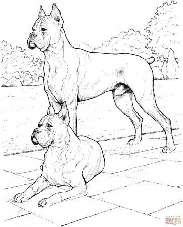 Get This Dog Coloring Sheets for Grown Ups Boxer Dog Realistic Drawing !