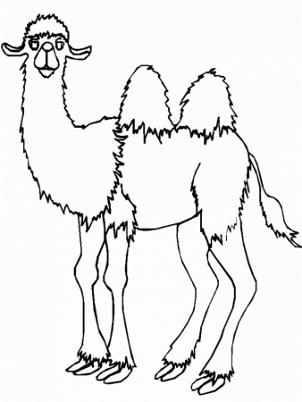 2185 Cool Camel Animal Coloring Page For Kids Free 279990 Camel 
