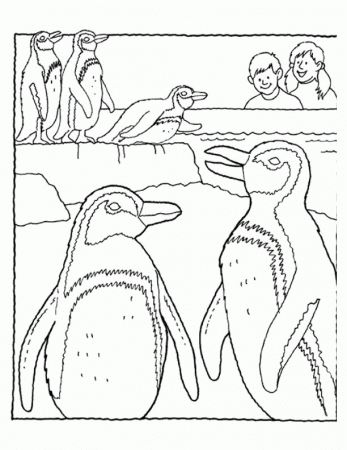 Baby Penguin Coloring Page - Penguin Coloring Pages : Coloring 
