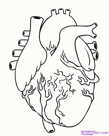 Human Heart Coloring Page Coloring Pages Pictures Imagixs