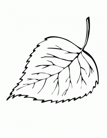 Coloring Page Palm Leaf - High Quality Coloring Pages - Coloring Home