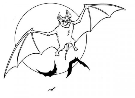 Bats, : Bats Spreading His Wing Coloring Page | Coloring pages, Pumpkin coloring  pages